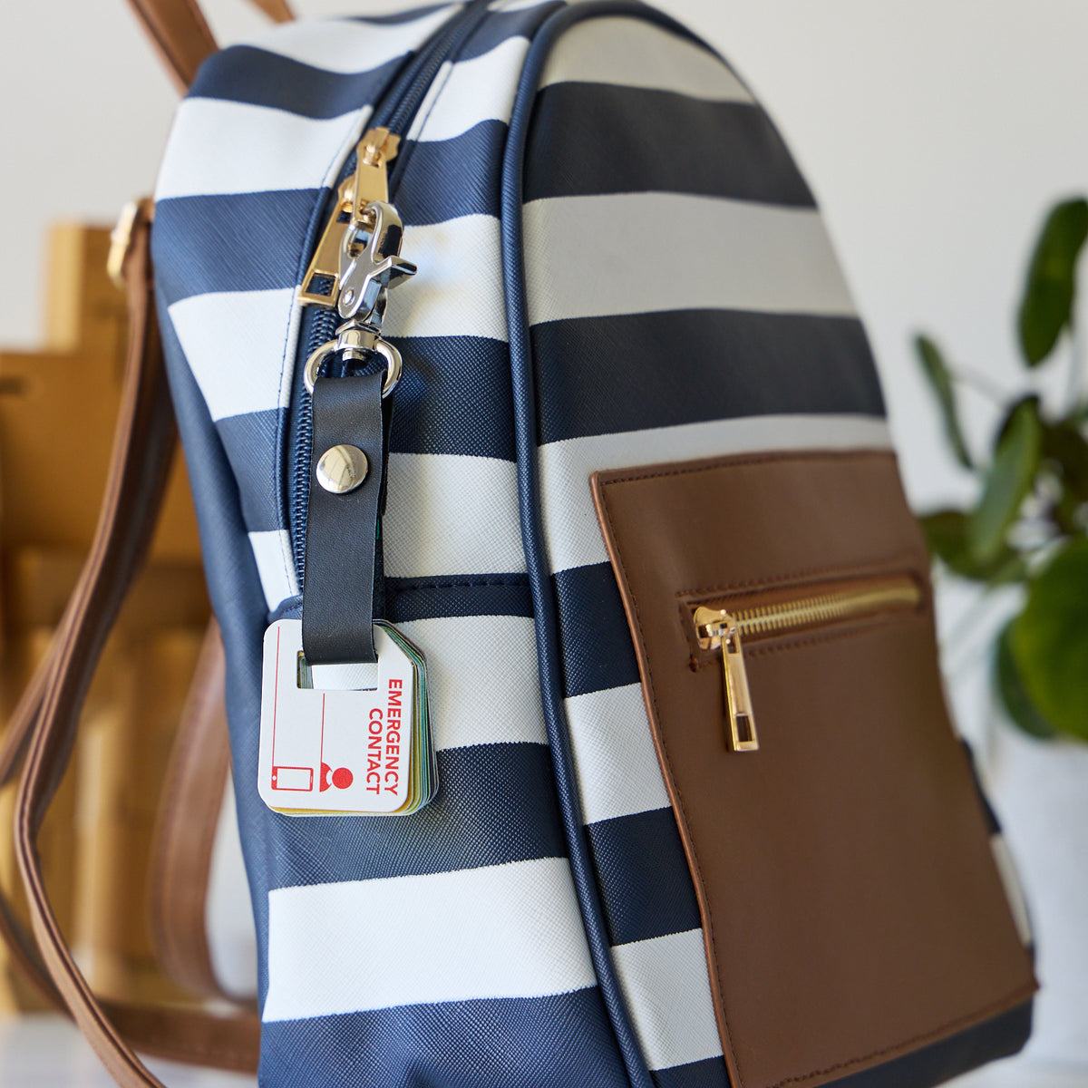 Bag Tags School Set | Ink